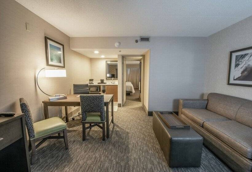Suite, Embassy Suites By Hilton Chicago Schaumburg Woodfield