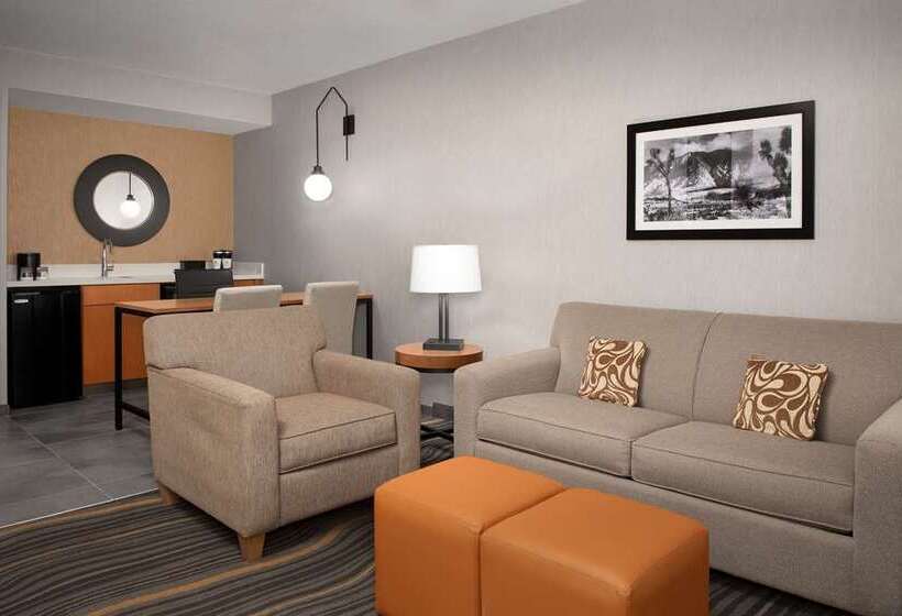 Suite, Embassy Suites By Hilton Chicago Schaumburg Woodfield