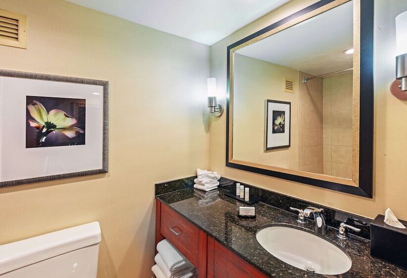 套房, Embassy Suites By Hilton Greensboro Airport