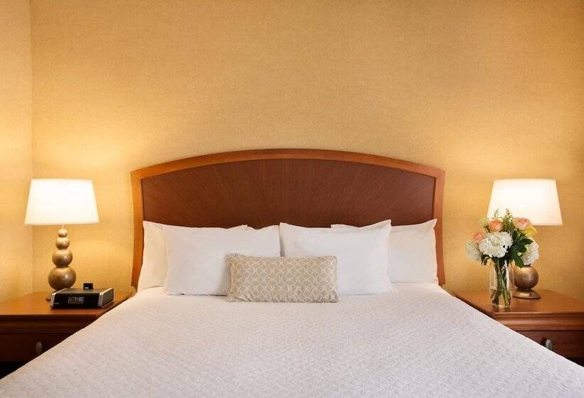 高级套房, Embassy Suites By Hilton Greensboro Airport