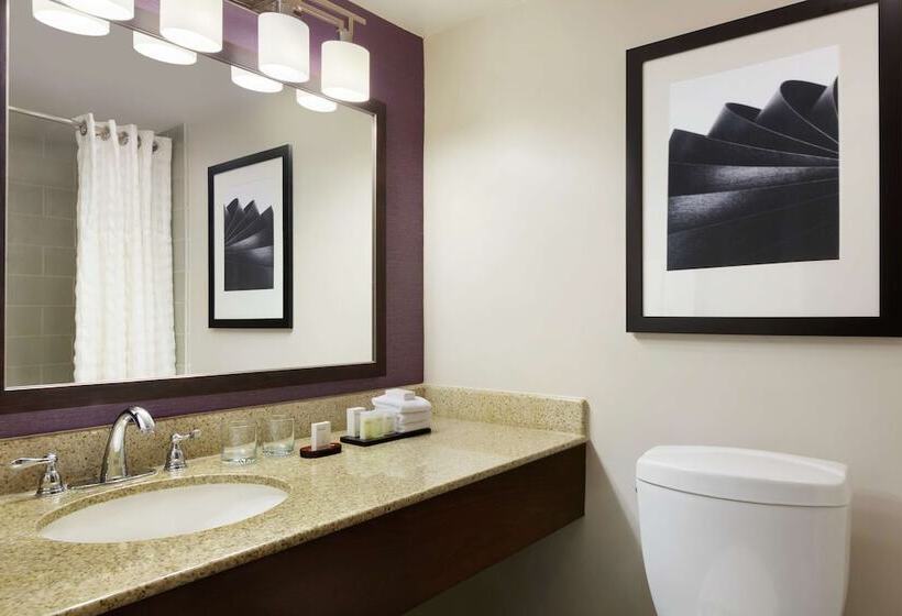 Номер Стандарт Двуспальная Кровать, Embassy Suites By Hilton Santa Ana Orange County Airport