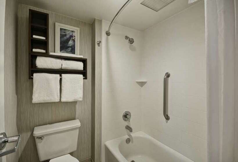 Стандартный Номер Кровать Кинг, Embassy Suites By Hilton Santa Ana Orange County Airport