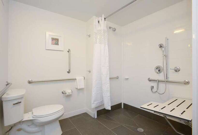 اتاق استاندارد, Hampton Inn Newark Airport