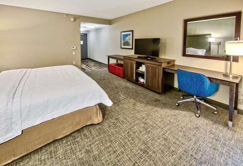 اتاق استاندارد, Hampton Inn Newark Airport