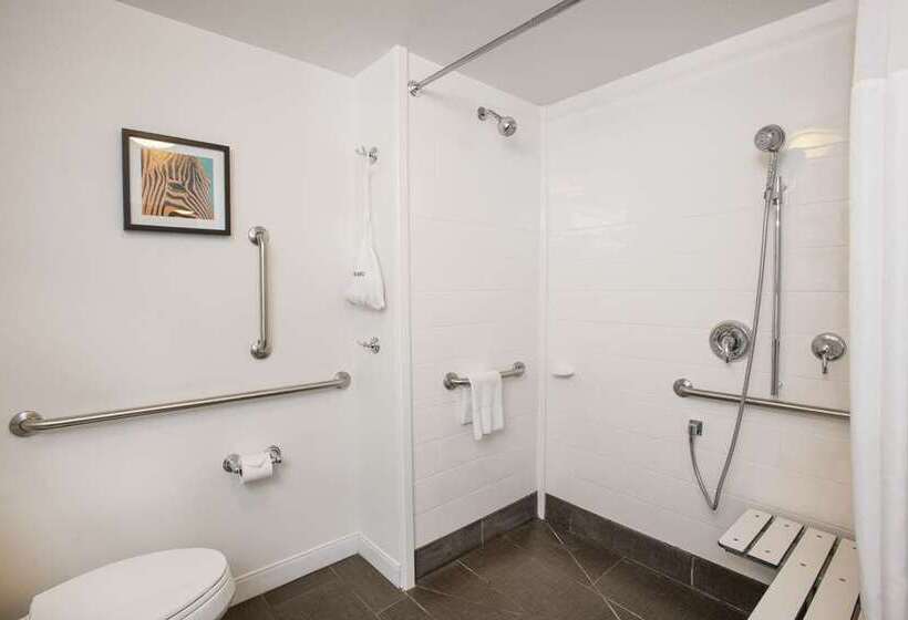اتاق استاندارد, Hampton Inn Newark Airport