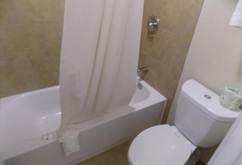 Quarto Estandar Cama King, Quality Inn Dfw Airport North
