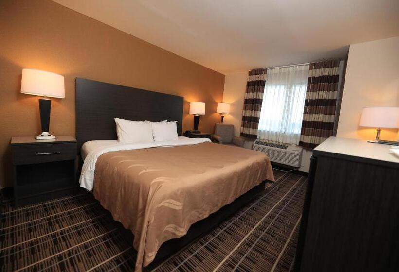 Quarto Estandar Cama King, Quality Inn Dfw Airport North