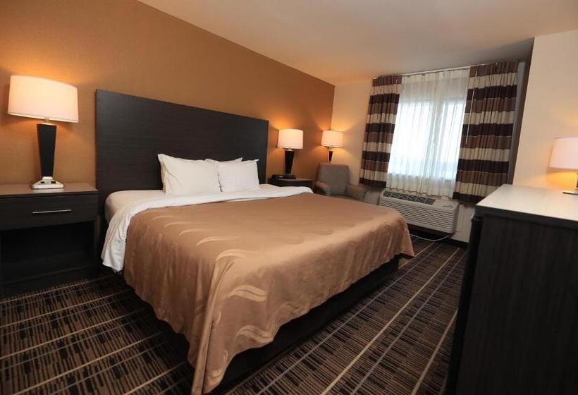 Стандартный Номер Кровать Кинг, Quality Inn Dfw Airport North