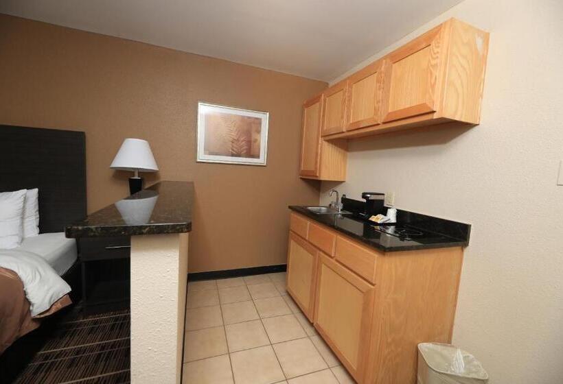 Quarto Estandar, Quality Inn Dfw Airport North