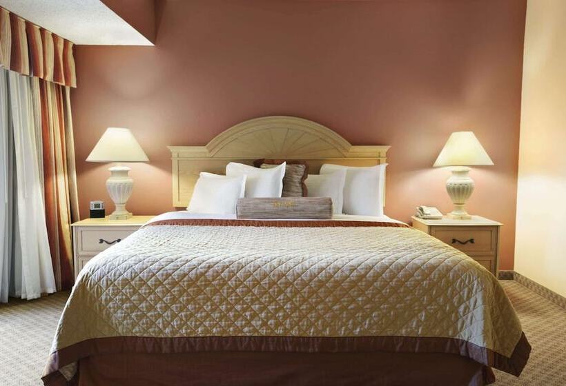 Номер Стандарт 2 Двуспальные Кровати, Wyndham El Paso Airport  And Water Park