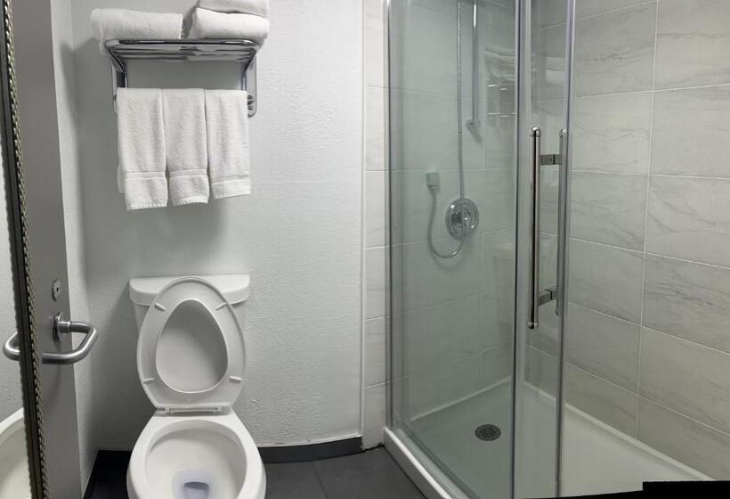 Mozgáskorlátozott Standard Szoba, Radisson Hotel Schaumburg