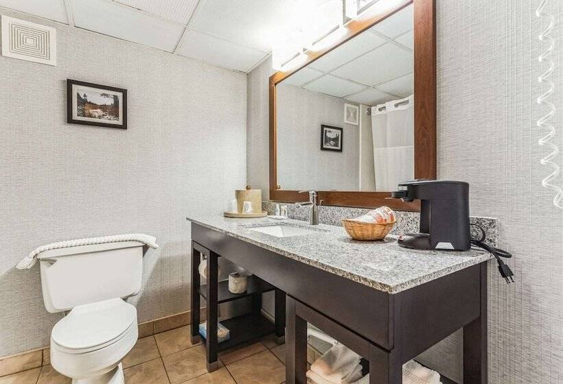 Номер Стандарт 2 Двуспальные Кровати, Comfort Inn Grantsvilledeep Creek Lake