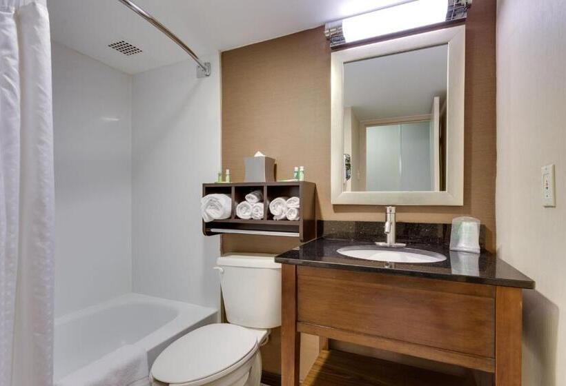 Номер Deluxe Адаптированный для Инвалидов, Holiday Inn Express Washington Dc Sw   Springfield By Ihg
