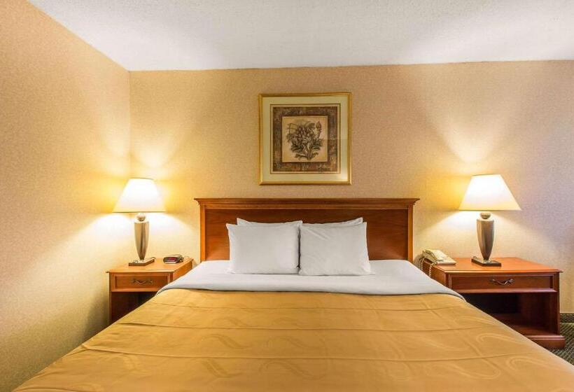 Стандартный Номер Кровать Кинг, Quality Inn & Suites Mcdonough South I75