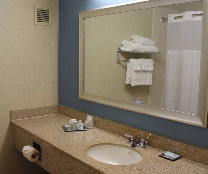 اتاق دلوکس مخصوص معلولین, Courtyard By Marriott Pittsburgh University Center