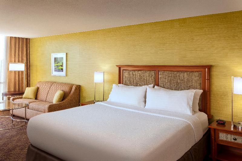 Стандартный Номер Кровать Кинг, Holiday Inn Austin  Town Lake, An Ihg