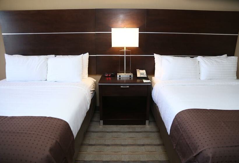 اتاق استاندارد, Holiday Inn Charlotte Airport, An Ihg