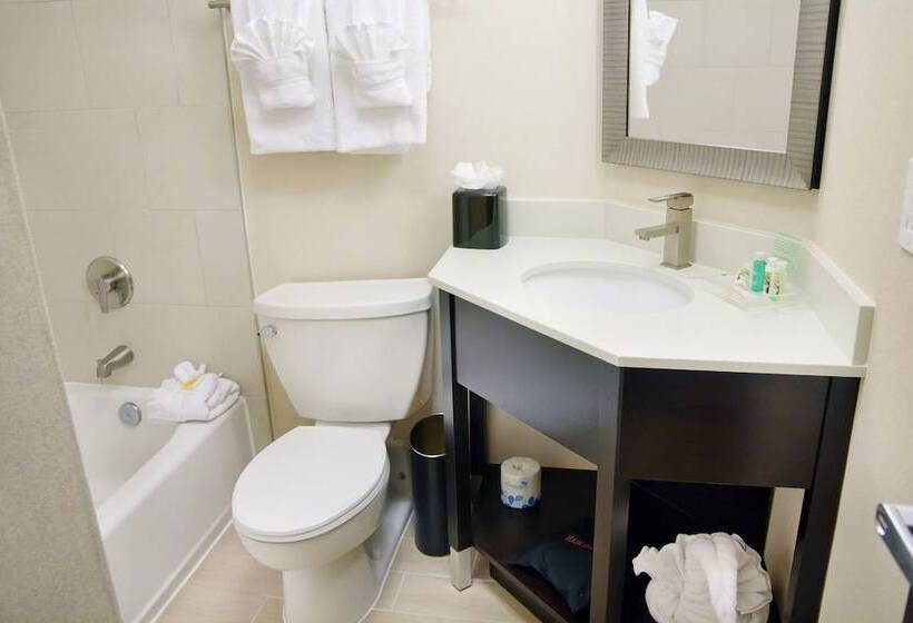 اتاق استاندارد, Holiday Inn Charlotte Airport, An Ihg