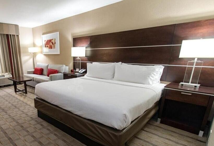 اتاق استاندارد با تخت بزرگ, Holiday Inn Charlotte Airport, An Ihg
