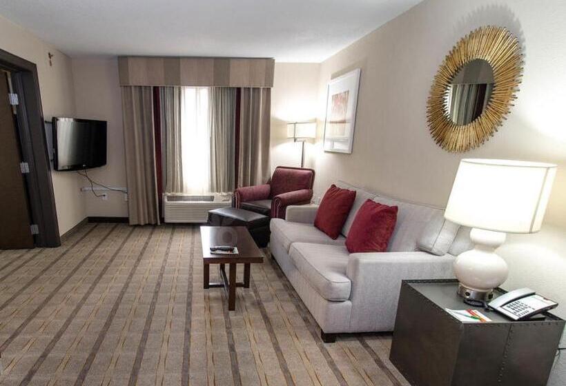 سوئیت با تخت بزرگ, Holiday Inn Charlotte Airport, An Ihg