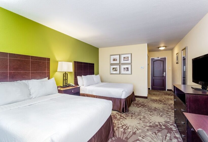 스탠다드 룸 더블 침대 2개, Holiday Inn Chicago North   Gurnee, An Ihg