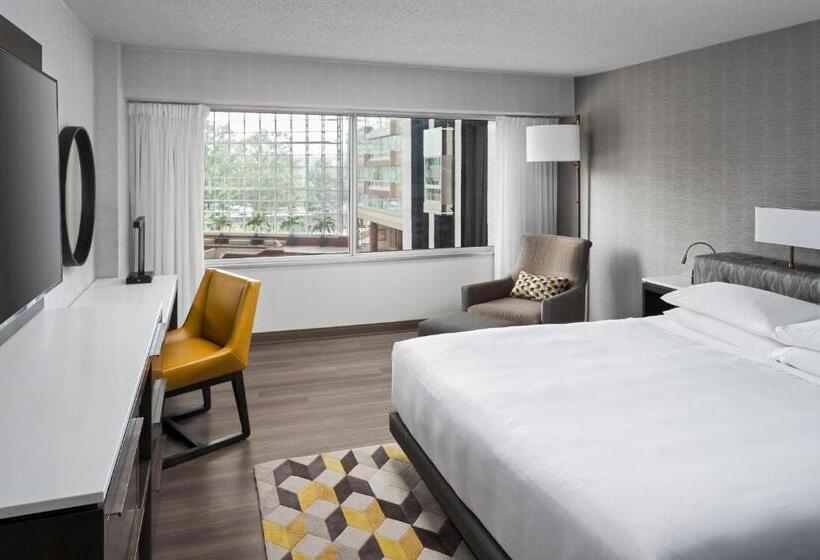 장애인을 위한 킹사이즈 침대 스탠다드 룸, Hyatt Regency Greenville