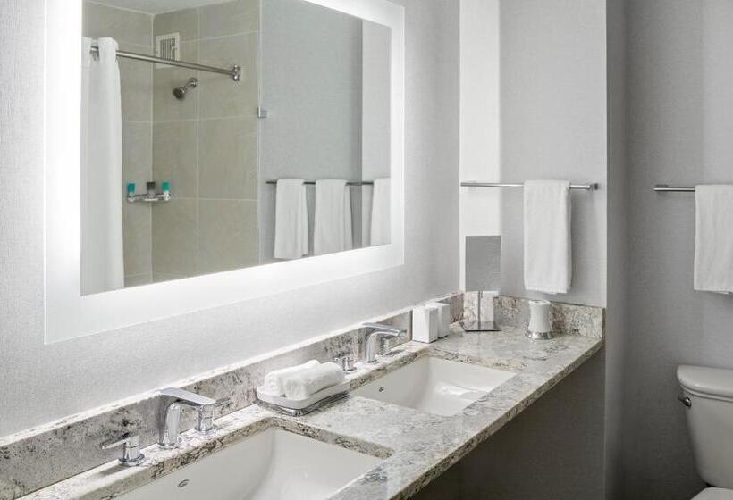 스위트, Hyatt Regency Greenville