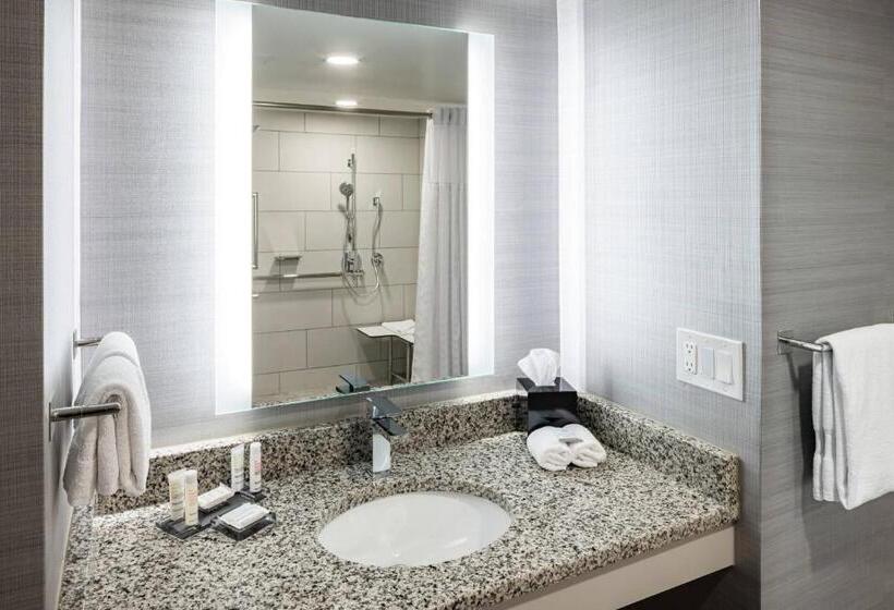 اتاق استاندارد با تخت بزرگ برای معلولان, Richmond Marriott
