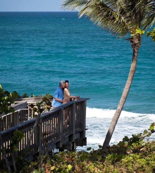 מיטת קינג בסוויטה, Jupiter Beach Resort & Spa