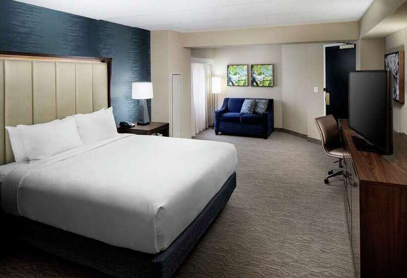Номер Стандарт, Doubletree By Hilton St. Louis Airport