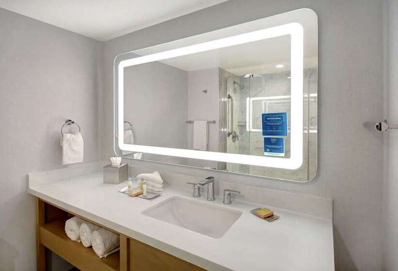 Номер Стандарт, Doubletree By Hilton St. Louis Airport