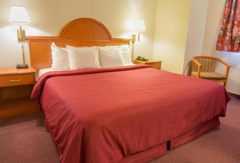 带大床的标准间, Guesthouse Inn Fife