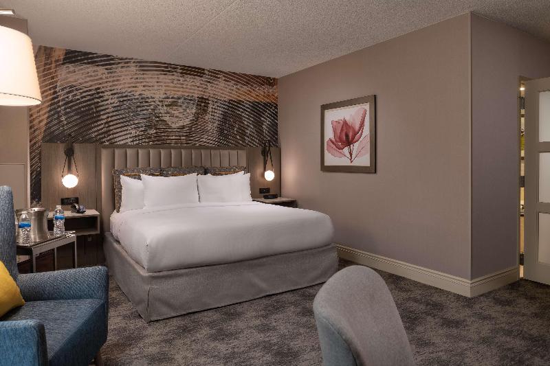 اتاق استاندارد با تخت بزرگ, Hilton Lexington/downtown