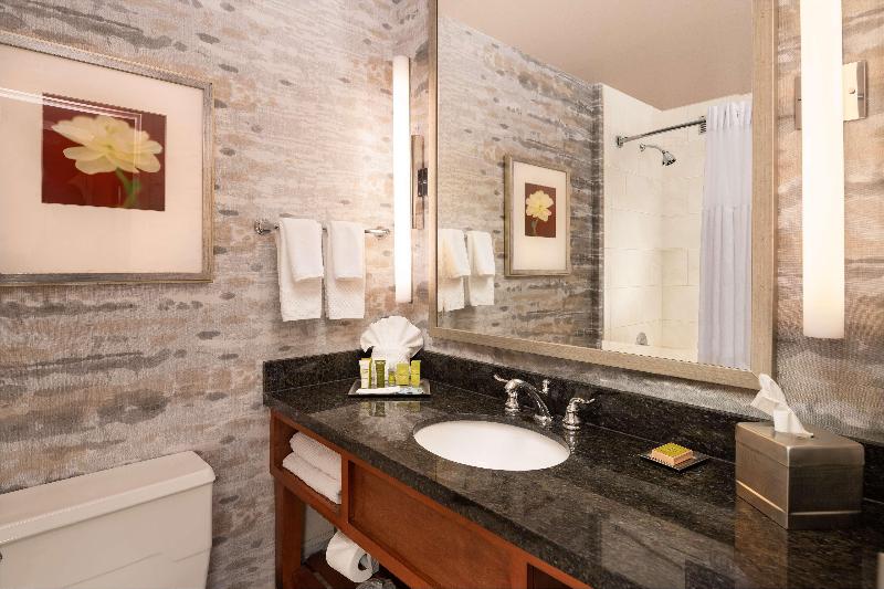 اتاق اجرایی با تخت بزرگ, Hilton Lexington/downtown