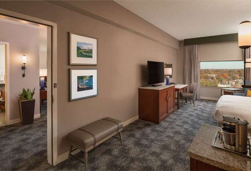 اتاق استاندارد, Hilton Lexington/downtown