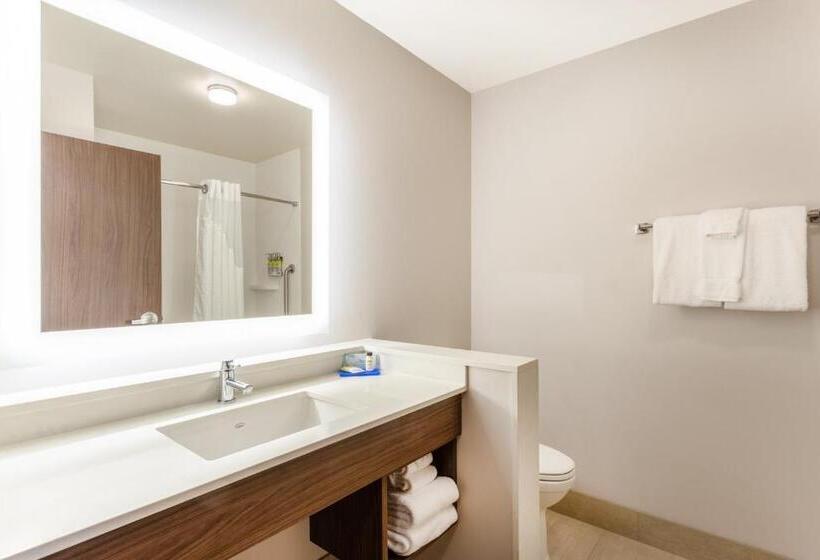 适合残疾人士使用的套间, Holiday Inn Express & Suites   Springfield North, An Ihg