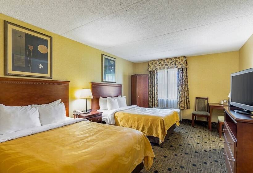 Номер Стандарт 2 Двуспальные Кровати, Quality Inn & Suites Coldwater Near I69