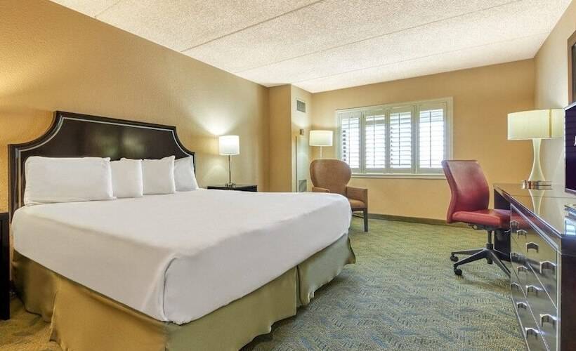 اتاق کلاسیک, Tropicana Laughlin