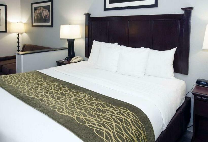 스탠다드 룸, Best Western Paramus Hotel & Suites