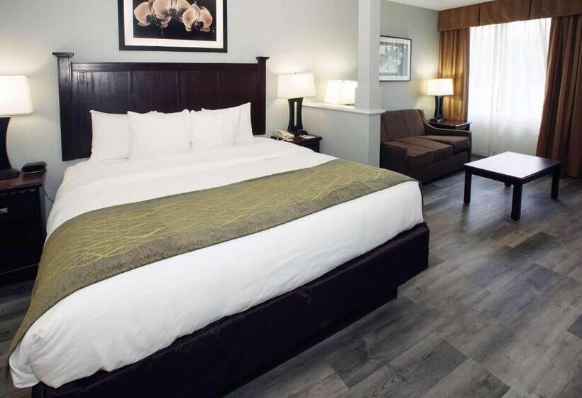 스위트 킹사이즈 침대, Best Western Paramus Hotel & Suites