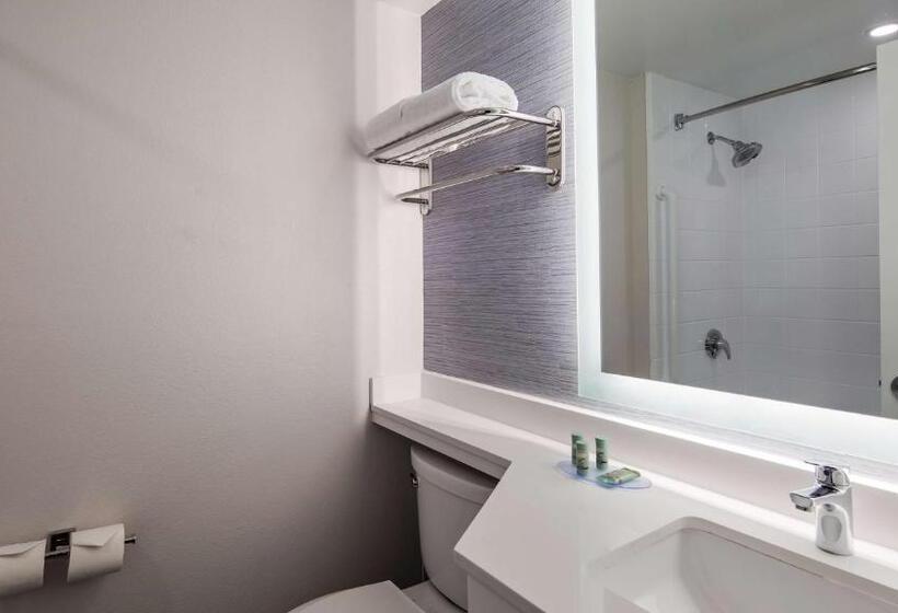 장애인을 위한 킹사이즈 침대 스탠다드 룸, Best Western Paramus Hotel & Suites
