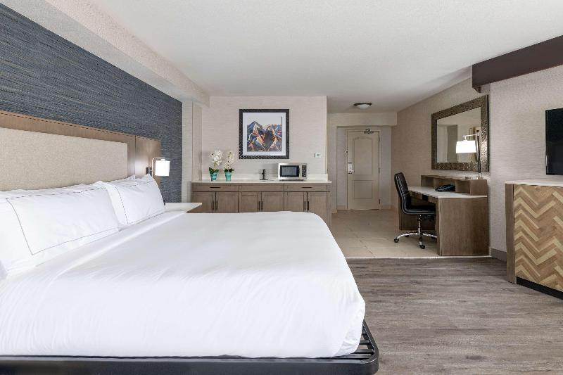 스탠다드 룸 킹사이즈 침대, Doubletree By Hilton Denver Thornton