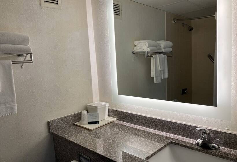 스탠다드 룸 더블 침대 2개, Quality Inn & Conference Center