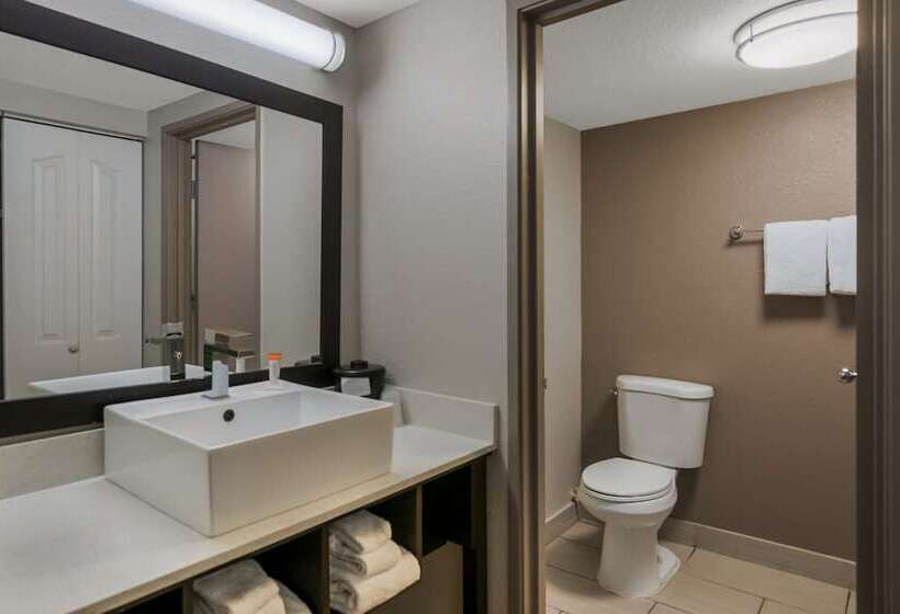 חדר פרמיום, Red Roof Inn Plus+ & Suites Knoxville West Cedar Bluff