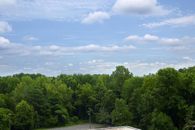 اتاق لوکس با تخت بزرگ, Sheraton Charlotte Airport