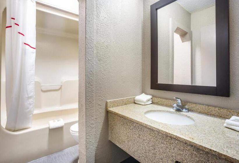 Номер Deluxe, Red Roof Inn Detroit  Farmington Hills