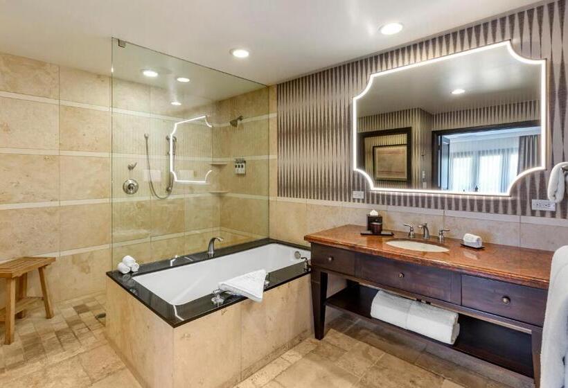 اتاق استاندارد با چشم‌انداز, Omni Scottsdale Resort & Spa At Montelucia