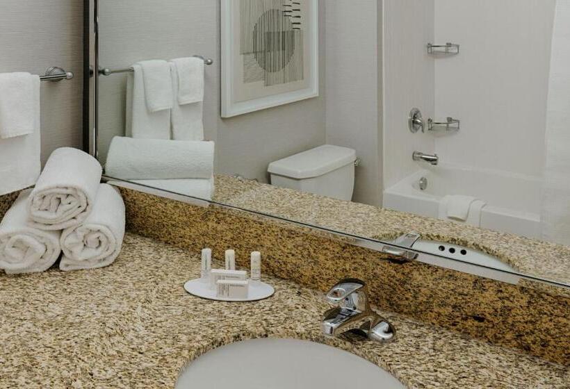 Стандартный Номер Кровать Кинг, Courtyard By Marriott Springfield Downtown