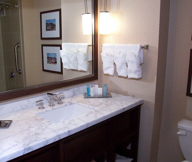 디럭스 스위트, Hilton St. Louis Airport