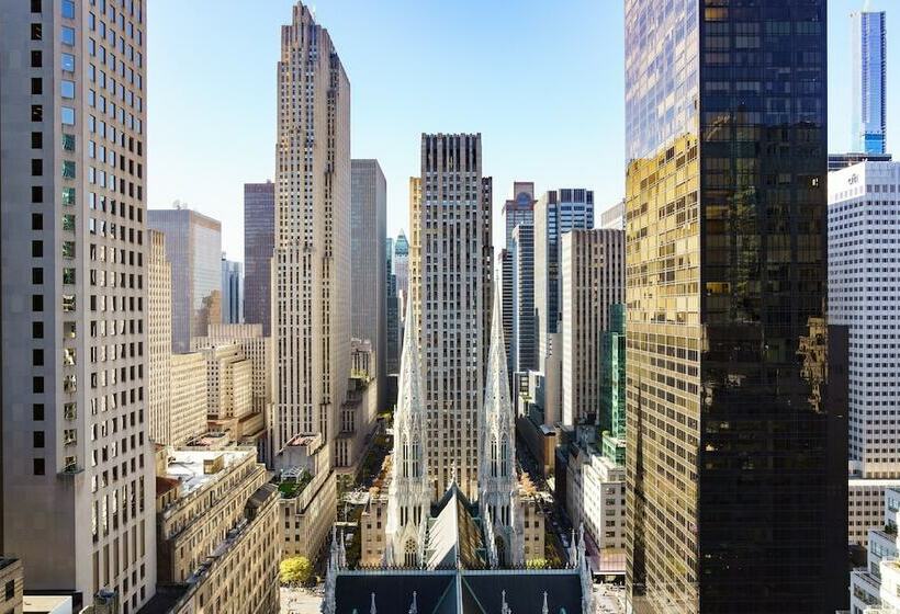 适合残疾人使用的标准间, Lotte New York Palace